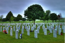 National Cemetery Headstones