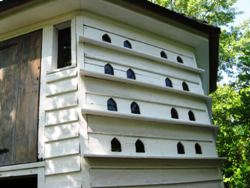 Image of close up view of Pigeon House Exterior